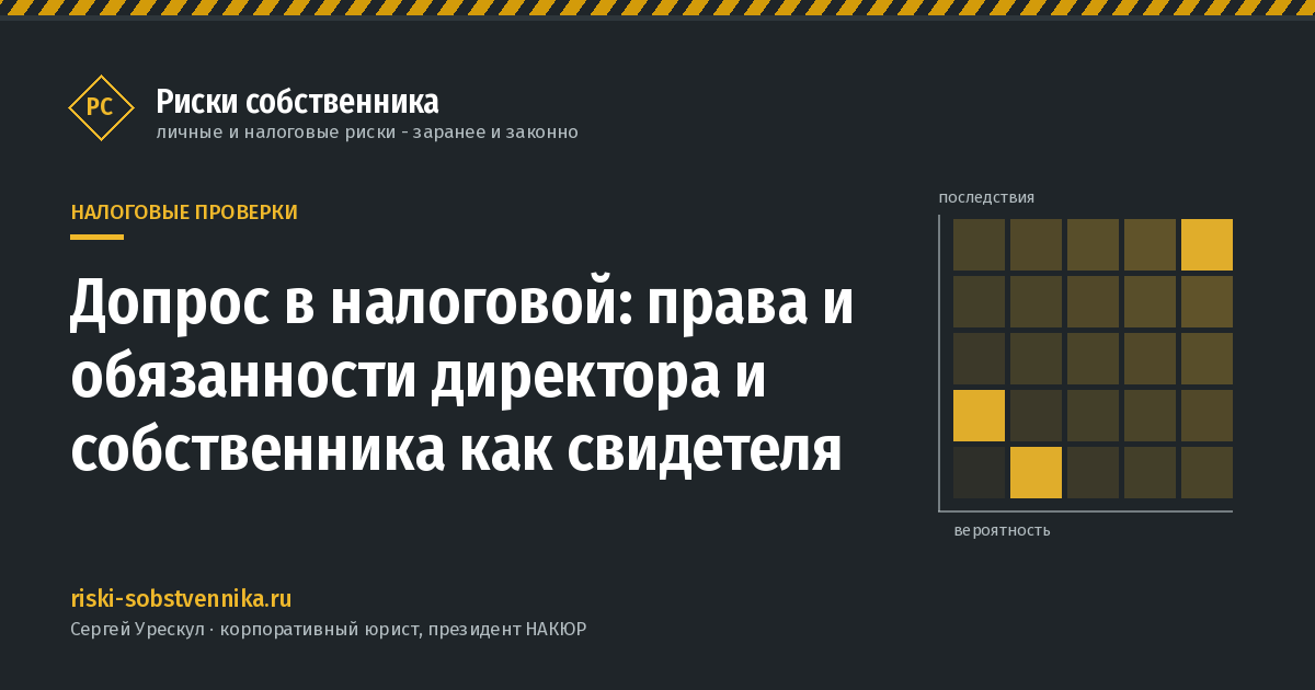 Допрос в налоговой: права и обязанности директора и собственника как свидетеля - иллюстрация к материалу раздела «Налоговые проверки»