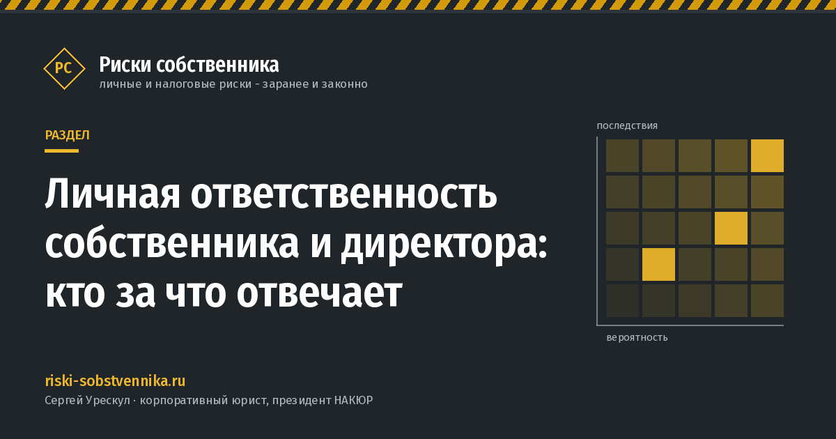 Личная ответственность собственника и директора: кто за что отвечает - обложка раздела сайта «Риски собственника»