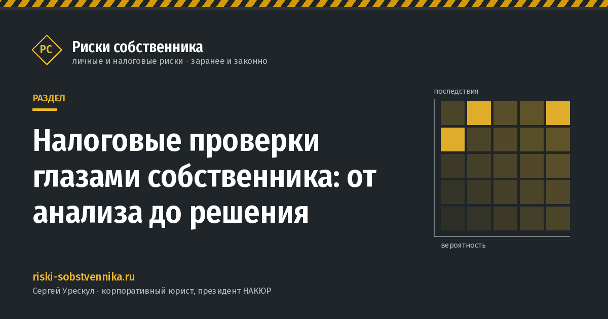 Налоговые проверки глазами собственника: от анализа до решения - обложка раздела сайта «Риски собственника»