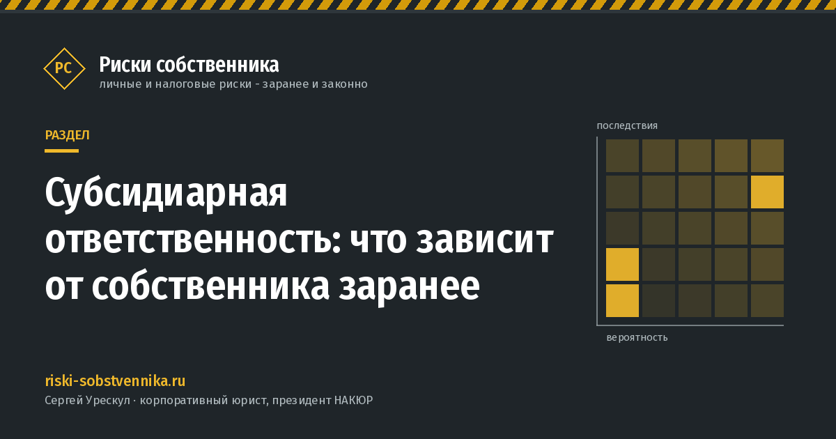 Субсидиарная ответственность: что зависит от собственника заранее - обложка раздела сайта «Риски собственника»