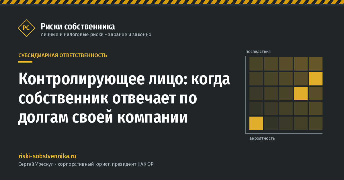 Контролирующее лицо: когда собственник отвечает по долгам своей компании - иллюстрация к материалу раздела «Субсидиарная ответственность»